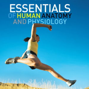 Essentials of Human Anatomy Physiology 10th Edition Marieb  Test Bank