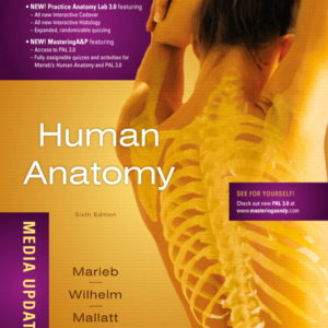 Test Bank for Human Anatomy 6th Edition